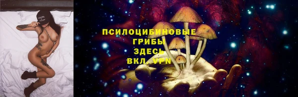кокаин премиум Алексеевка